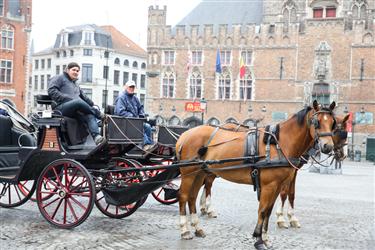 Bruges Horse Carriages