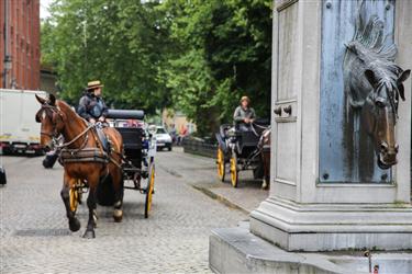 Bruges Horse Carriages