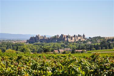Carcassonne Castle & Ramparts