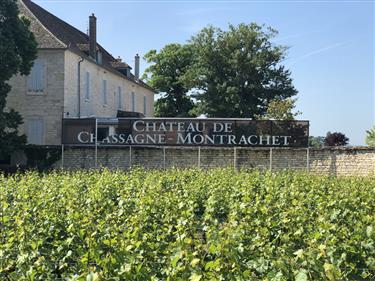 Chateau de Chassagne-Montrachet