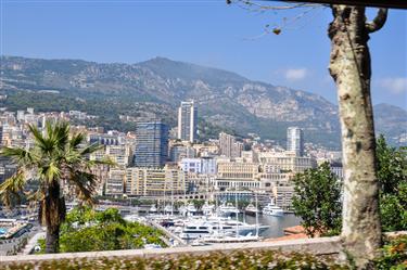 Monte Carlo Harbor (Port Hercule)
