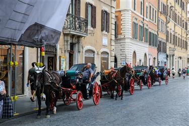 Rome Horse-drawn Carriages, Rome