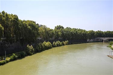 Tiber River