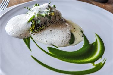 Noma menu, Pike Perch and Cabbage, Verbeva and Dill